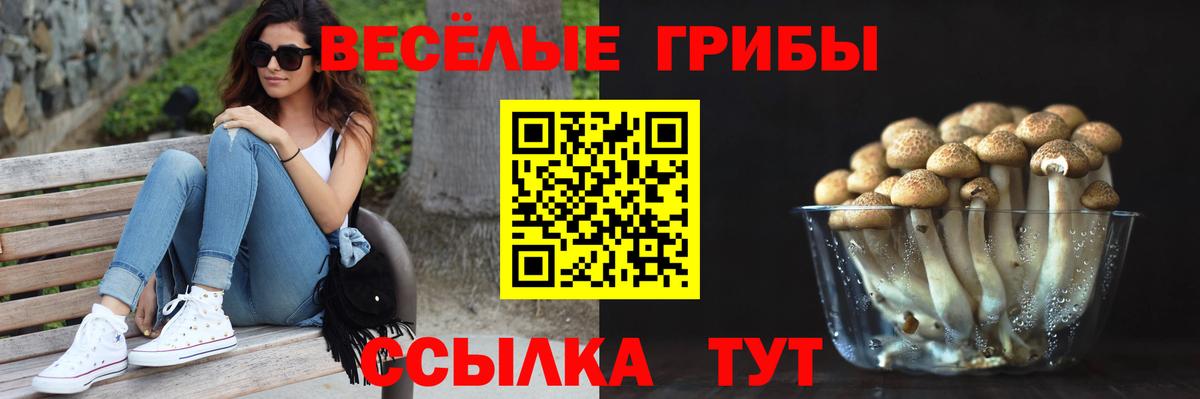 Белово  Псилоцибиновые грибы Cubensis  Вход с VPN 